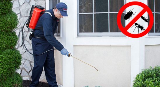 Gürgentepe Gümüşkurt İlaçlama böcek ilaçlama ve haşere kontrolü — ilaclama-tr.com